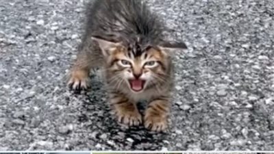 هبة قطب: زوجة خا@نت زوجها لأنه كان مشغول عنها.. والزوج تقبل وجهة نظرها