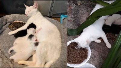 رانيا يوسف: أبحث عن رجل يحترم رجوعي للبيت 5 الفجر يوميًا