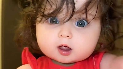 حديقة حيوان تمنع سيدة من زيارة شمبانزي لعلاقتها الوثيقة معه.. اعرف السبب