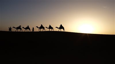 كيف تعرف أن قلبك سليم في 30 ثانية؟