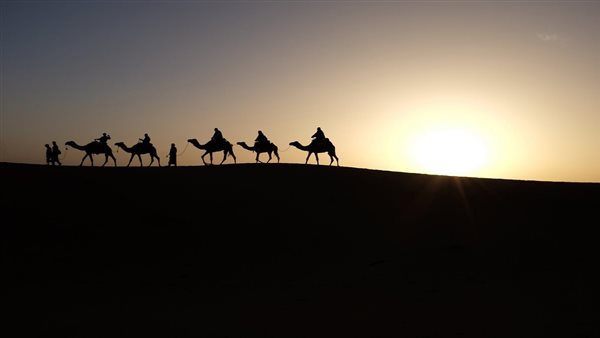 موقع أيام نيوز
