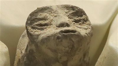 شاهد.. چثث “كائنات فضائية” تعود لـ 1000 عام “ټثير ذهولا” في كونغرس المكسيك